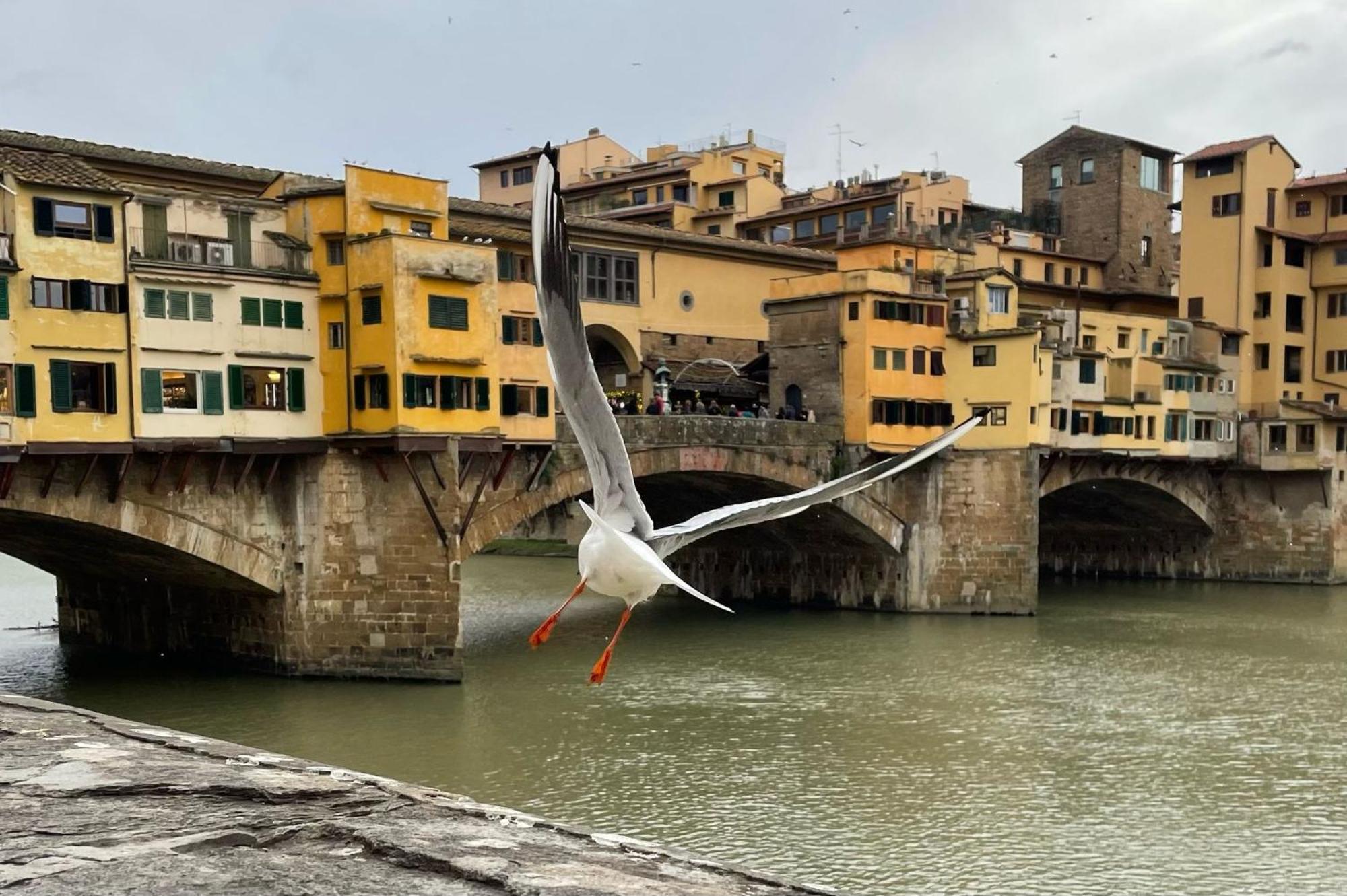 Modern Apartments In The Heart Of Florence Exterior photo
